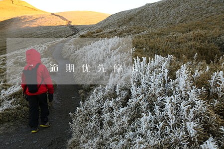 逾期优先停卡 逾期优先停卡