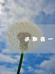 逾期会一直发短信吗