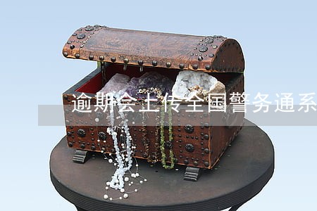 逾期会上传全国警务通系统 逾期会上传全国警务通系统