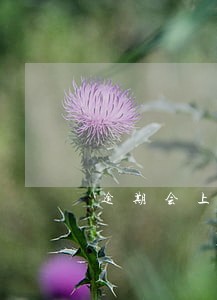 逾期会上传到征信吗 逾期会上传到征信吗