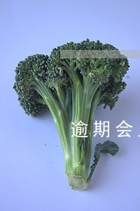 逾期会上单位吗 逾期会上单位吗