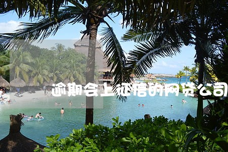 逾期会上征信的网贷公司 逾期会上征信的网贷公司