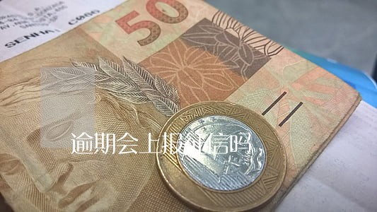 逾期会上报征信吗 逾期会上报征信吗