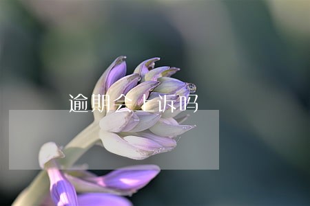 逾期会上诉吗 逾期会上诉吗