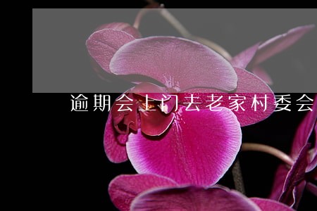 逾期会上门去老家村委会吗 逾期会上门去老家村委会吗