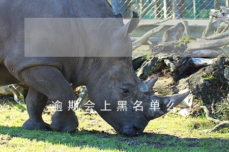 逾期会上黑名单么 逾期会上黑名单么