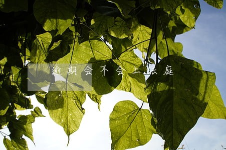 逾期会不会上法庭 逾期会不会上法庭