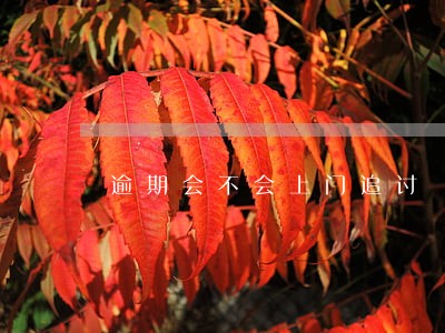 逾期会不会上门追讨 逾期会不会上门追讨