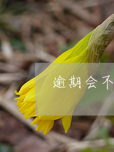 逾期会不会信用不良 逾期会不会信用不良