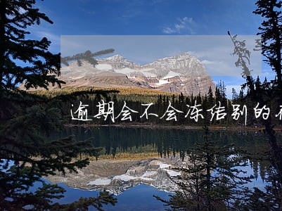 逾期会不会冻结别的存款 逾期会不会冻结别的存款