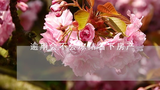 逾期会不会冻结名下房产 逾期会不会冻结名下房产