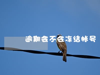 逾期会不会冻结帐号 逾期会不会冻结帐号