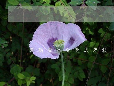 逾期会不会变成老赖