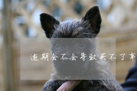 逾期会不会导致买不了车保险 逾期会不会导致买不了车保险