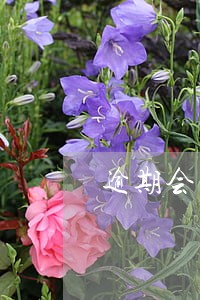 逾期会不会导致卖房失败