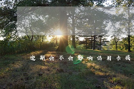 逾期会不会影响信用卡提额度 逾期会不会影响信用卡提额度