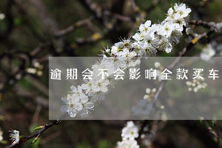 逾期会不会影响全款买车 逾期会不会影响全款买车