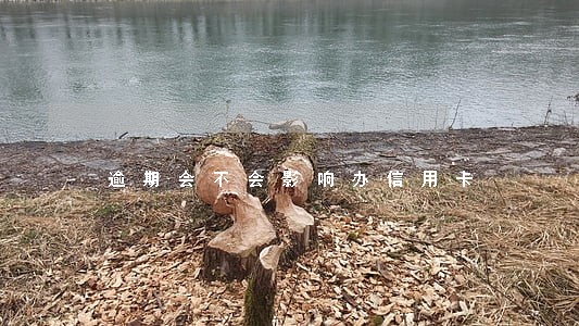 逾期会不会影响办信用卡 逾期会不会影响办信用卡