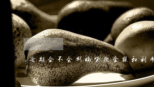 逾期会不会影响贷款金额和利率 逾期会不会影响贷款金额和利率