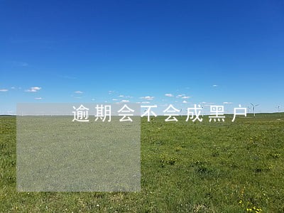 逾期会不会成黑户 逾期会不会成黑户