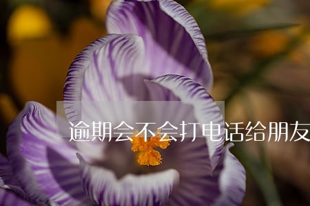 逾期会不会打电话给朋友 逾期会不会打电话给朋友