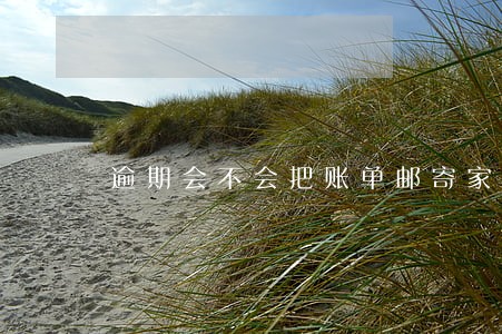 逾期会不会把账单邮寄家里去 逾期会不会把账单邮寄家里去