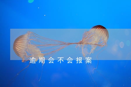 逾期会不会报案 逾期会不会报案