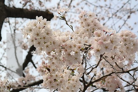 逾期会不会报警 逾期会不会报警