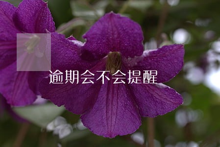 逾期会不会提醒 逾期会不会提醒