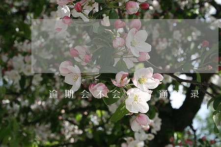 逾期会不会查看通讯录 逾期会不会查看通讯录