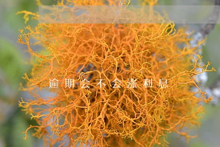 逾期会不会涨利息 逾期会不会涨利息