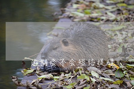 逾期会不会短信提醒 逾期会不会短信提醒