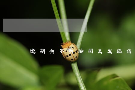 逾期会不会给朋友发短信 逾期会不会给朋友发短信