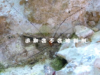 逾期会不会被判刑 逾期会不会被判刑