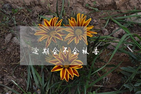 逾期会不会被告 逾期会不会被告