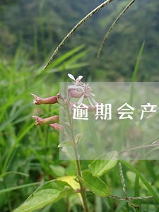逾期会产生滞纳金