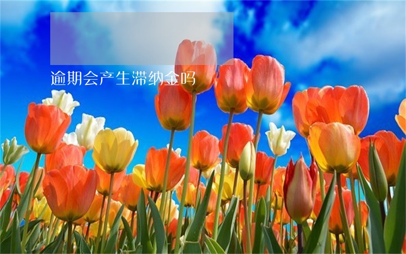 逾期会产生滞纳金吗