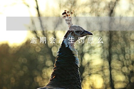 逾期会产生罚息么 逾期会产生罚息么