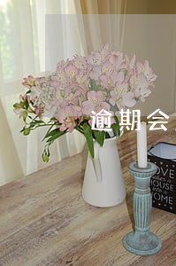 逾期会产生罚息和滞纳金 逾期会产生罚息和滞纳金