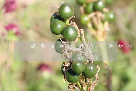 逾期会以邮件方式通知吗 逾期会以邮件方式通知吗