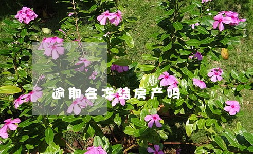 逾期会冻结房产吗 逾期会冻结房产吗