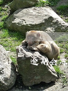 逾期会冻结所有卡吗 逾期会冻结所有卡吗