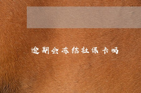 逾期会冻结社保卡吗 逾期会冻结社保卡吗