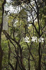 逾期会冻结账户嘛