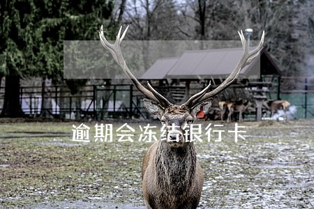 逾期会冻结银行卡 逾期会冻结银行卡