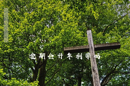 逾期会升年利率吗 逾期会升年利率吗