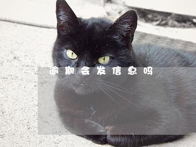 逾期会发信息吗 逾期会发信息吗