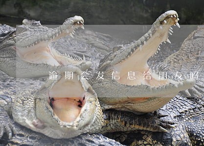 逾期会发信息给朋友吗 逾期会发信息给朋友吗