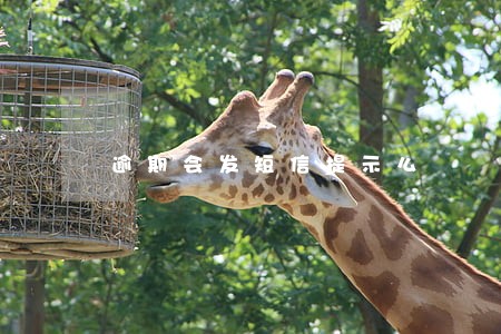 逾期会发短信提示么