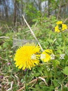 逾期会发短信通知 逾期会发短信通知
